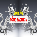 rongbachkim24horg