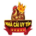 nhacaiuytinusvn