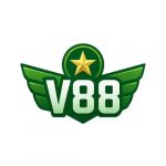 v88vnnet1