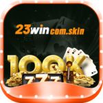 23wincomskin