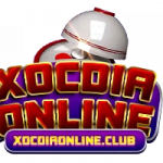xocdiaonlinewr