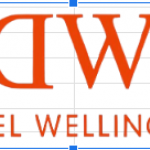 dwdanielwel