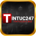 tintuc247biz