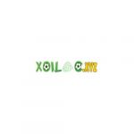 xoilactvxyz
