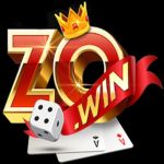 Zowintop1