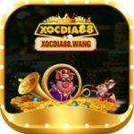 trangchuxocdia88
