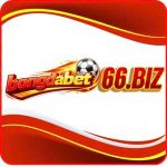 bongdanet66biz
