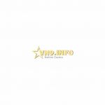 vn9-info