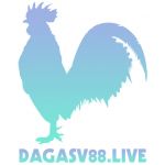 dagasv388-live
