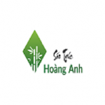 hoanganhsaotruc