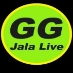 jalalivegg1