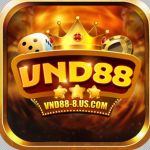 vnd888uscom