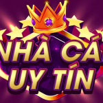 nhacaiuytinlp