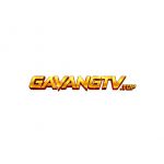 gavangtvtop