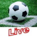 nflshopsus