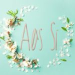 Aes-Si