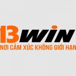 13windomains
