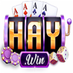 Haywin1help