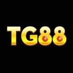 Tg88becom1