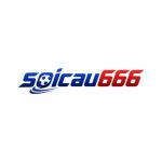 soicau666cfd