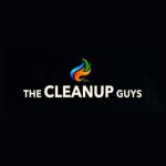 thecleanupguysil