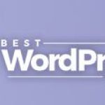 bestwordpressteam
