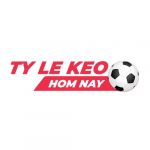 tylekeohomnaynet