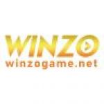 winzogamenet