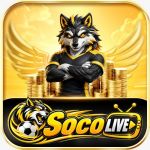 socolivekz