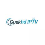 guekhdiptvorg1