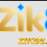 zik88world