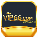 vip66vnet
