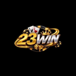 23wnprnet