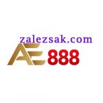 zalezsakcom