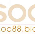 soc88bidrq