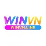winvnlink