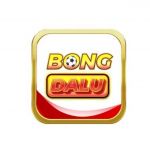 Bongdaluspacel