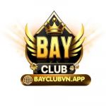 bayclubvnapp