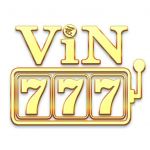 vin7777us