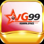 vg99vnnhacai