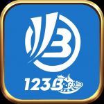 123bllc1