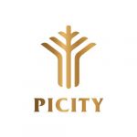 picitypigroup