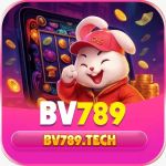 Bv789tech
