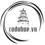 codohuevn