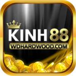 kinh88vn
