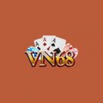 vn68aorg