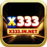 x333innet