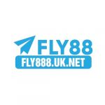 fly888uknet