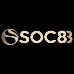 soc88ferragamosbelts