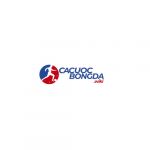 cacuocbongdawiki